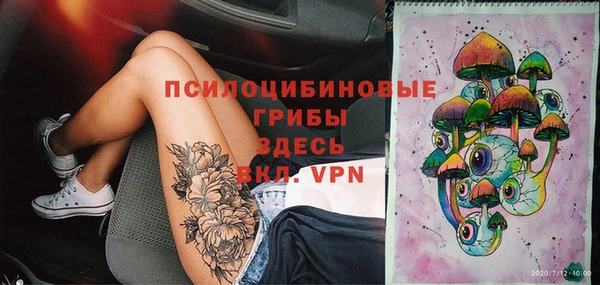 соль курить ск Липки