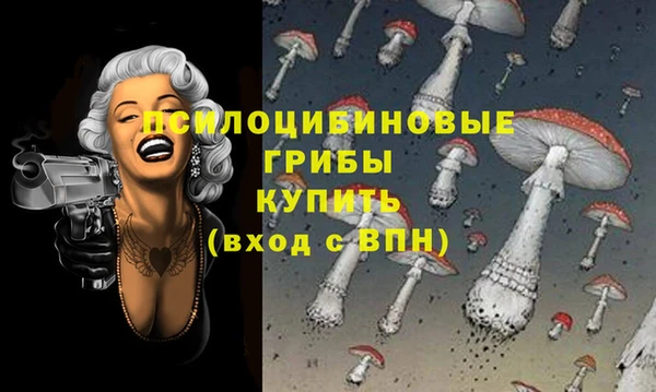 не бодяженный Абаза