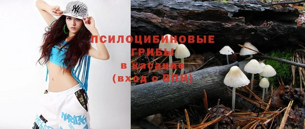 соль курить ск Липки