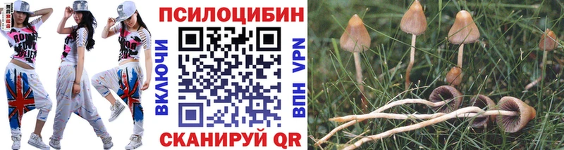 Псилоцибиновые грибы мицелий  Новосибирск 