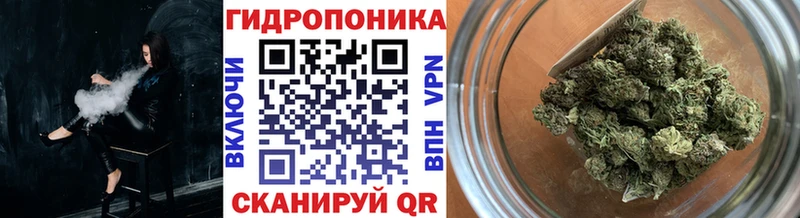 сайты даркнета Telegram Новосибирск Бошки марихуана SATIVA & INDICA